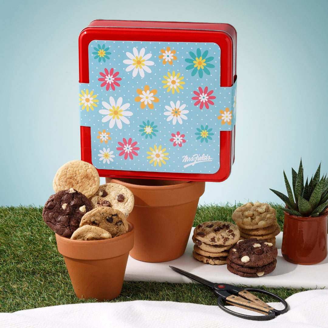 A decorative square metal cookie tin with a red border and a light blue front panel covered in colorful daisy flowers, styled with cookies in terracotta pots on artificial grass against a pale blue background.