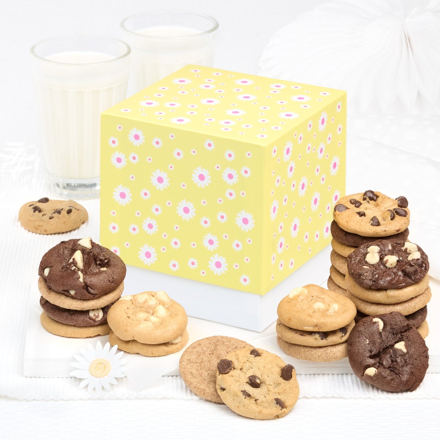 Daisy Cookie Box 3-Pack